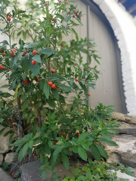 Lori'S Traditional House Gjirokastër Exterior foto